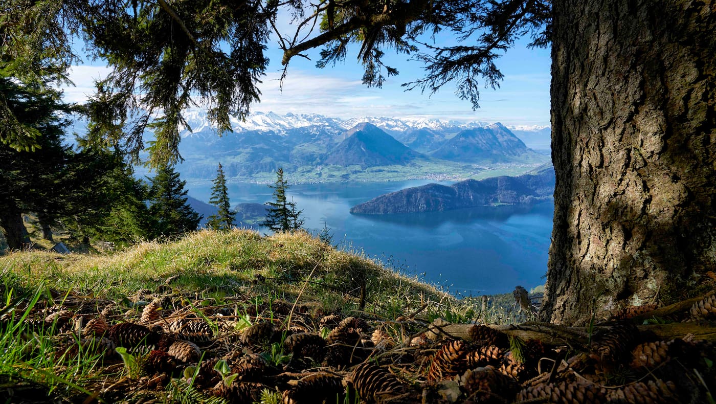 Vom Gipfel der Rigi genießt man ein spektakuläres 360 Grad Panorama. Besonders schön ist der Ausblick auf den fjordähnlichen Vierwaldstättersee.