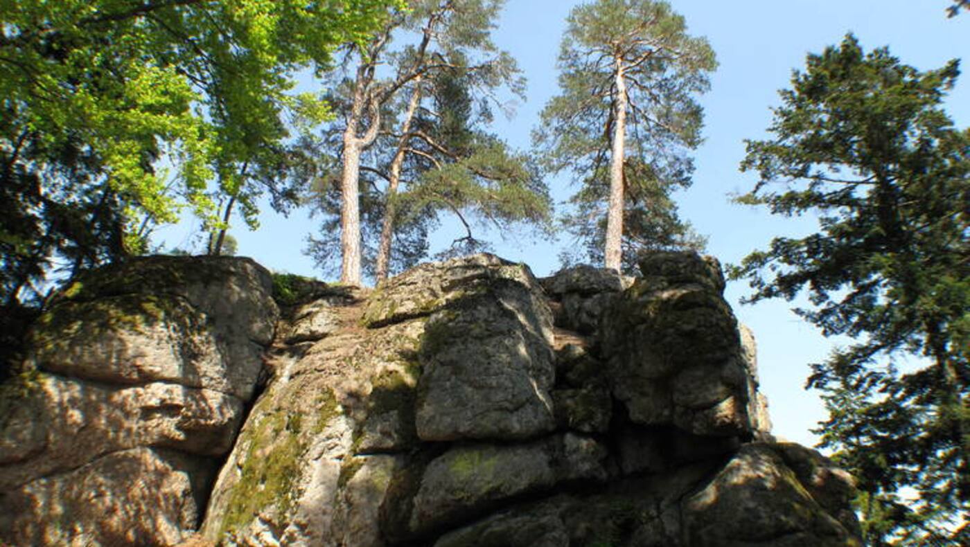 Die Natur am Kühstein im Böhmerwald erleben.