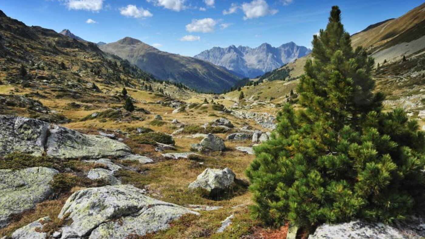 Der Jakobsweg Graubünden führt die Pilgern durch die schönsten Gebiete der Region Graubünden.