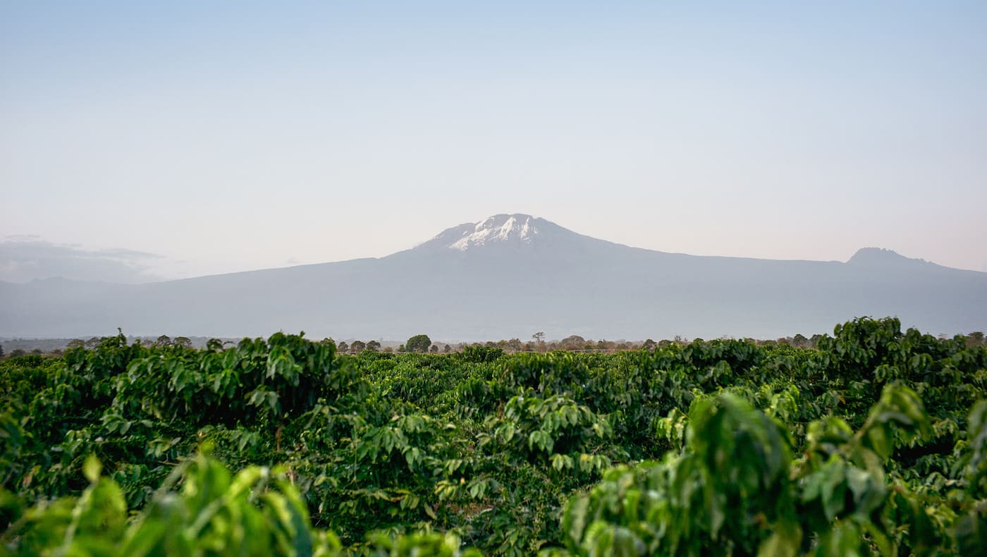 Reise Kilimanjaro