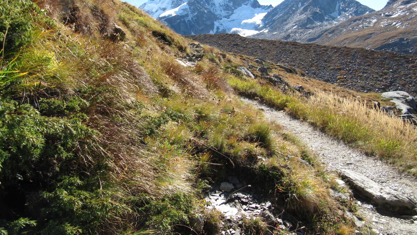 Weitwandern am Bernina Trek