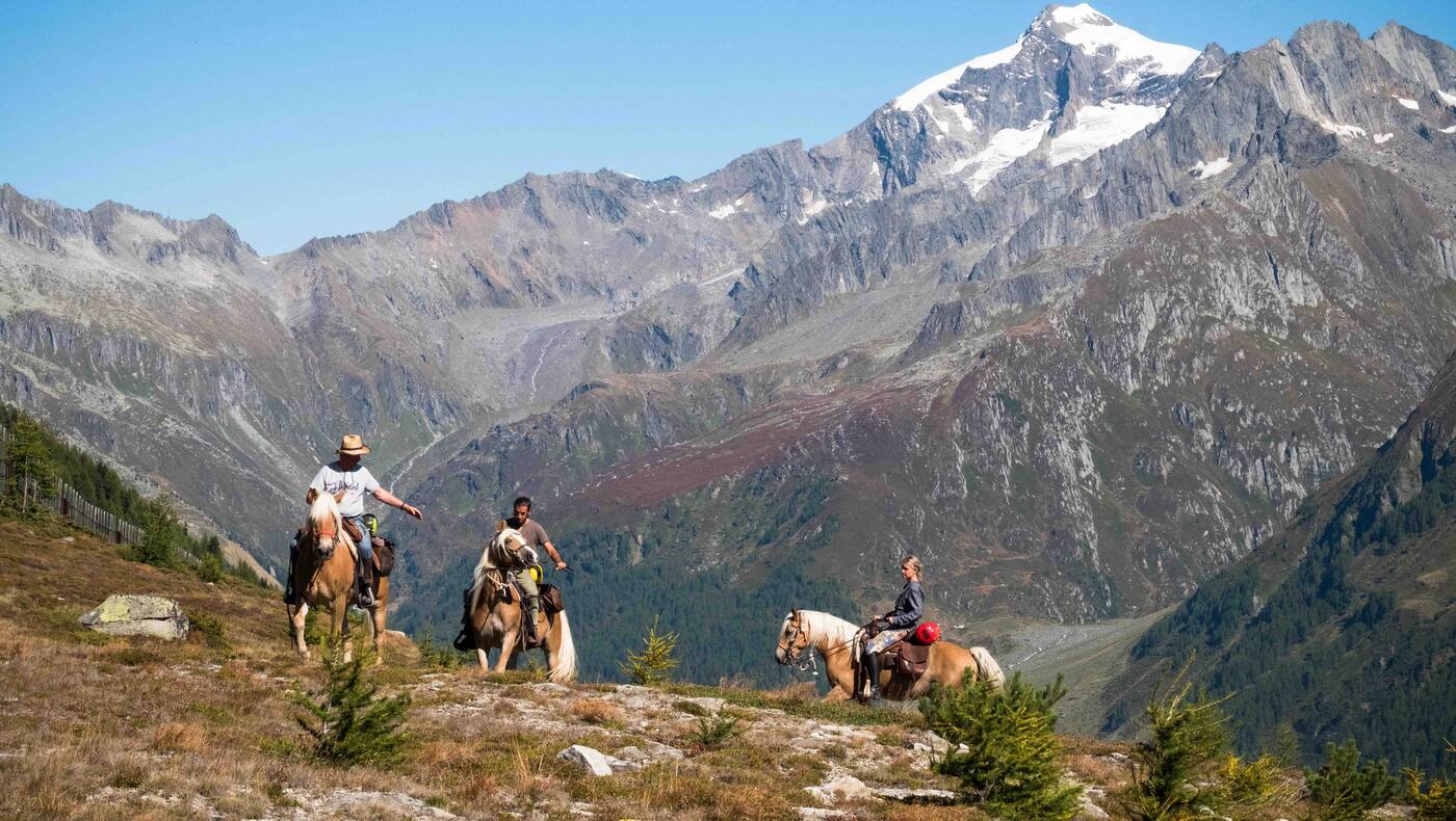 Am Rücken der Pferde ist man dem Himmel im Südtiroler Ahrntal noch ein Stück näher.