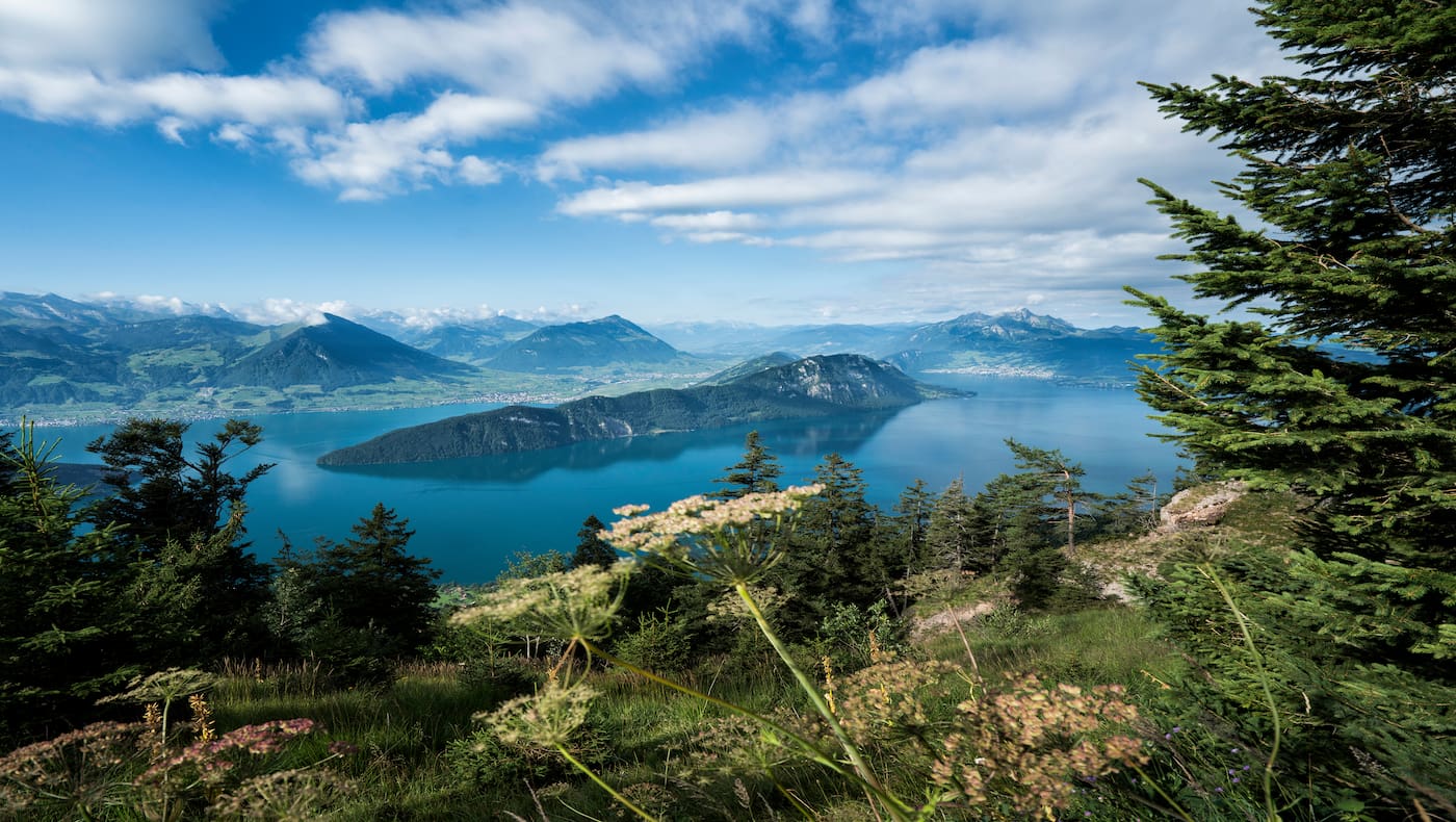 Charakteristisch für den Vierwaldstättersee ist seine besondere Form. – Wie ein Fjord ruht der tiefblaue See majestätisch zwischen Bergen. 