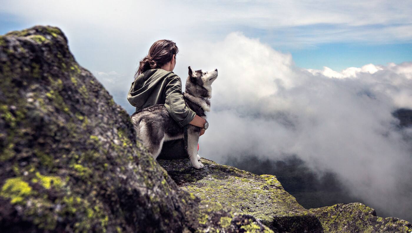 Wandern mit Hund am Berg