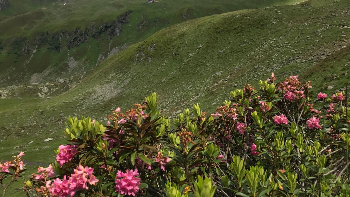 Das Ziel der diesjährigen Aktion „Saubere Berge“ - die Ahornspitze  - verbirgt sich noch in den Wolken.