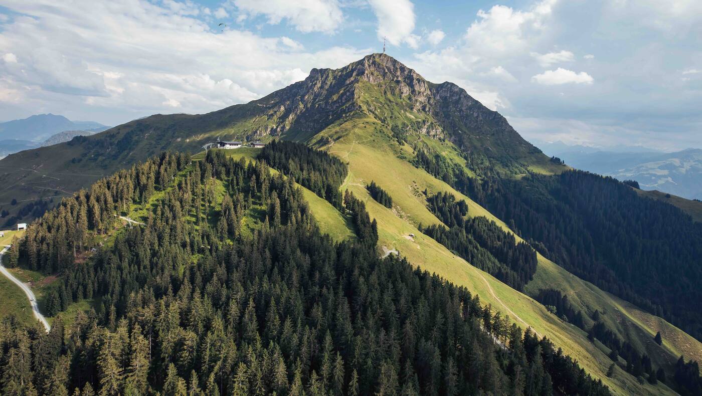 das Kitzbüheler Horn, markanter Gipfel in den Kitzbüheler Alpen
