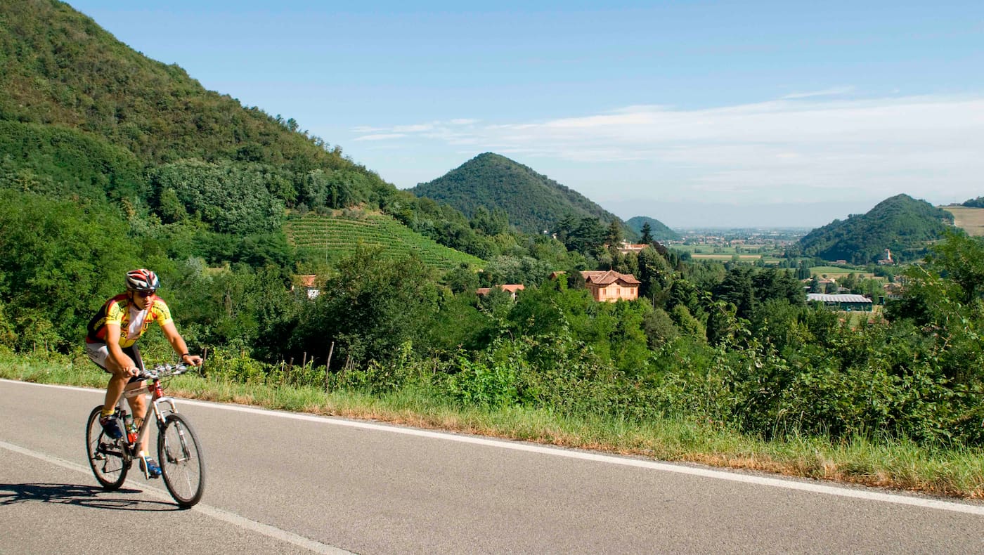 Italien, Euganeische Hügel bei Padua, Radler auf Landstraße