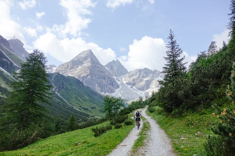 Am Forstweg im alpinen Gelände - stört der Mountainbiker das Wild?