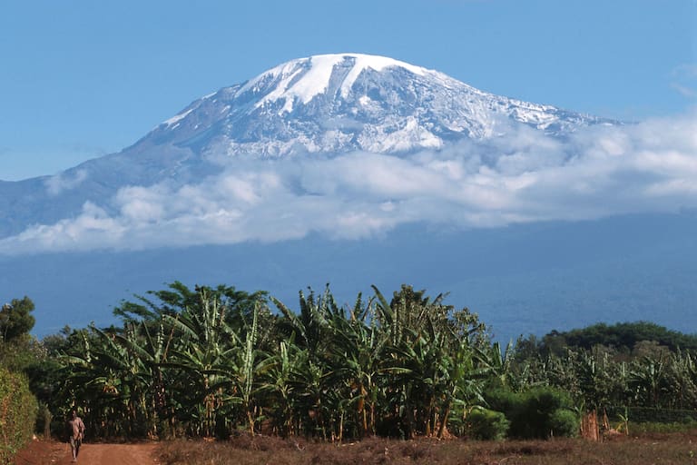Afrika: Kilimanjaro in Tansania