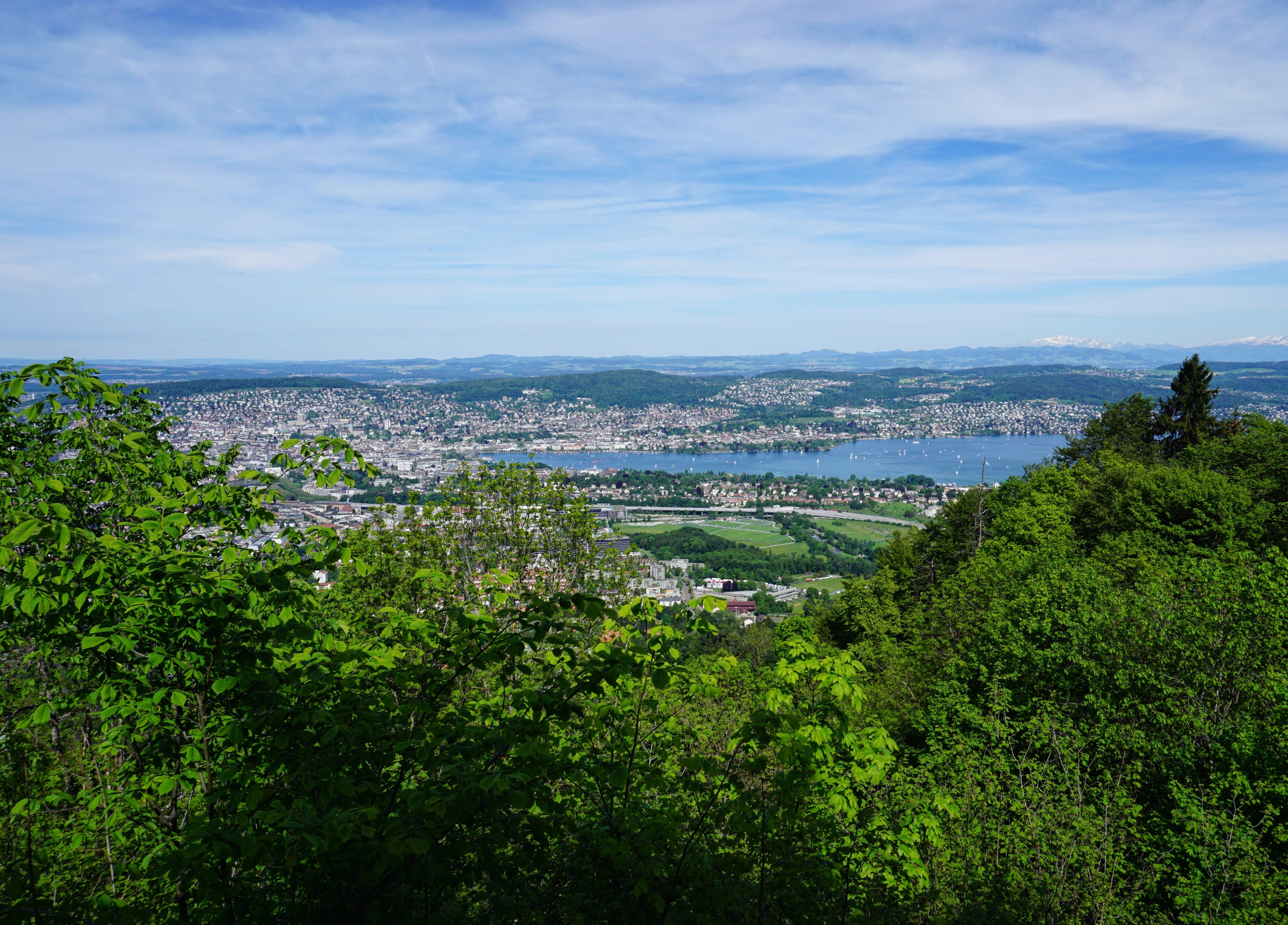 Blick vom Uetliberg auf Zürich und den Zürichsee
