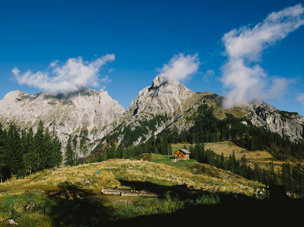 Bergwelten-Geheimtipp: Die Treffneralm wird ab Juli zum Heidelbeerparadies. Im Hintergrund: die Gipfel von Sparafeld (links) und Reichenstein.