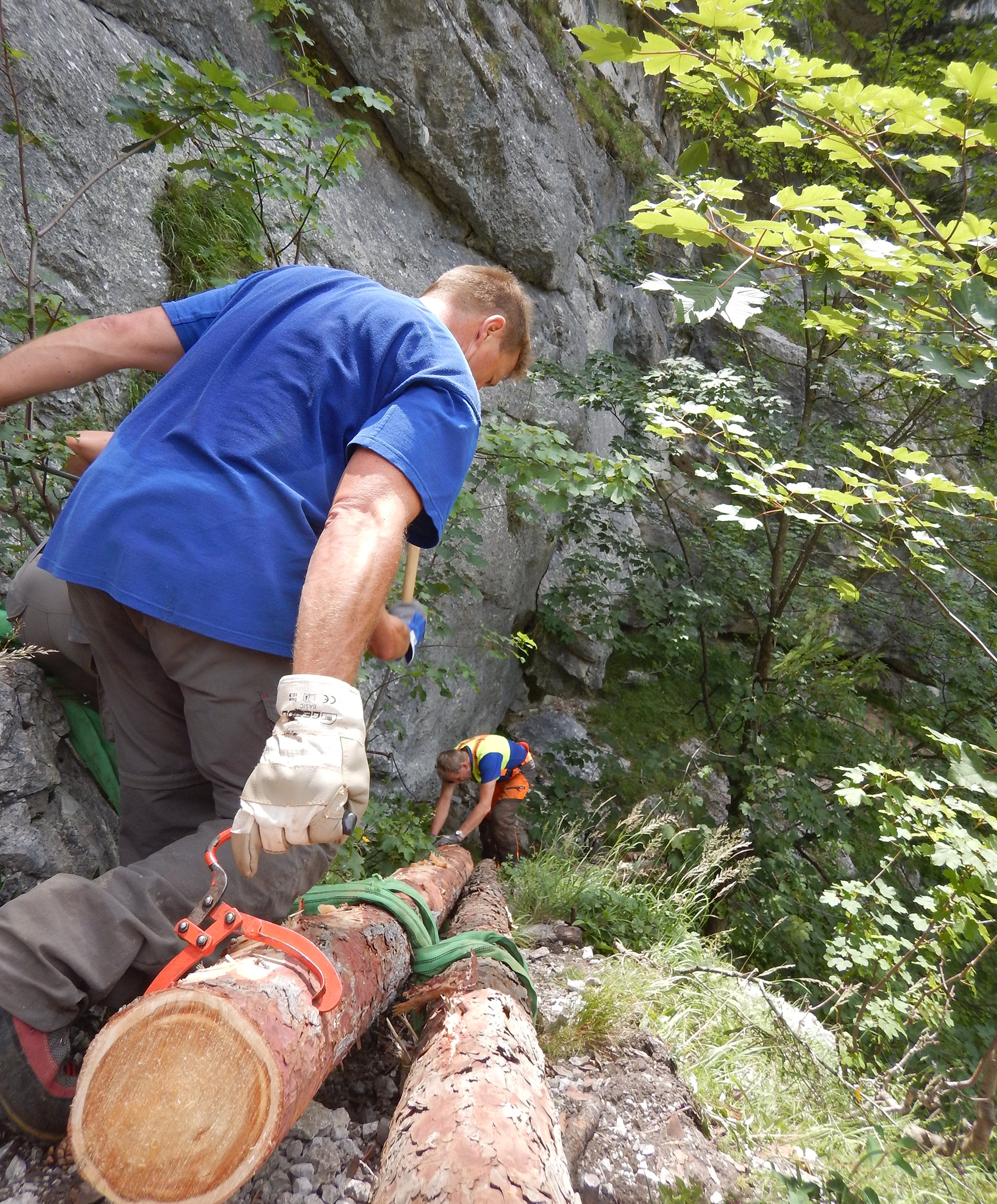 Der Alpenverein Edelweiss setzt jährlich viele unterschiedliche Bergwaldprojekte um.