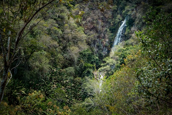 Reisestory Ecuador Intag Valley