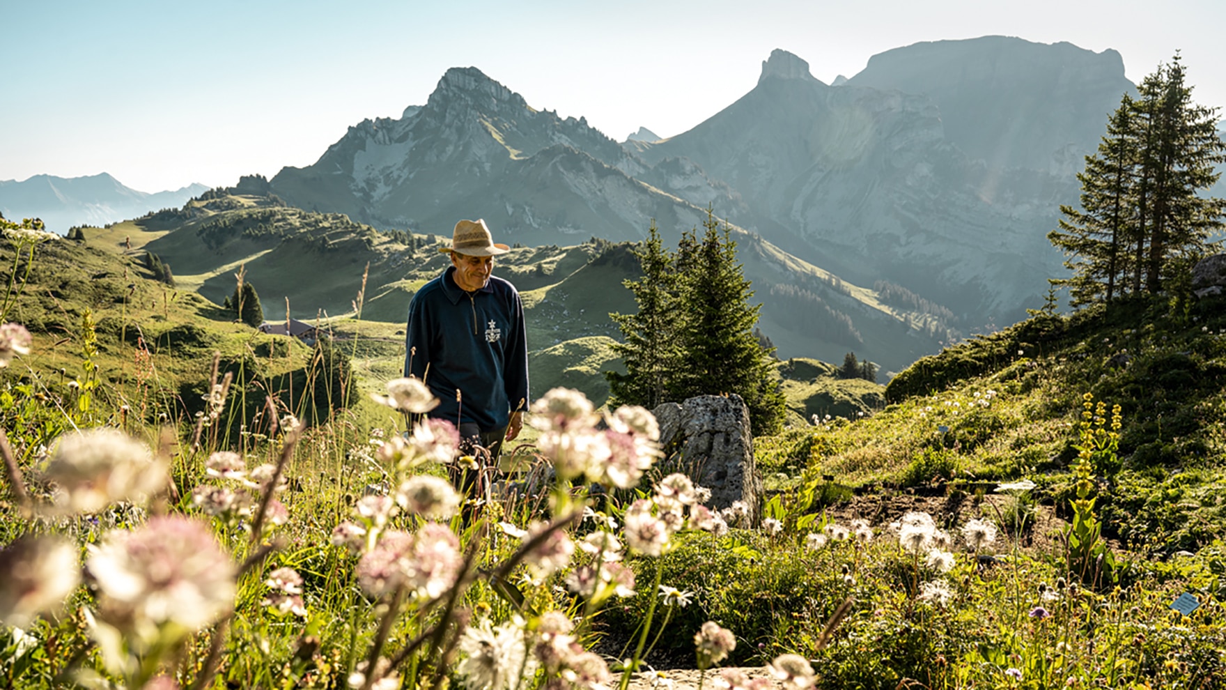 Paul Brunner hegt und pflegt den botanischen Alpengarten bereits seit über 25 Jahren.