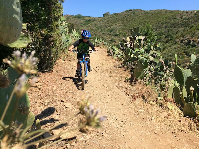 5 Profi-Tipps: Mit Kindern am Mountainbike