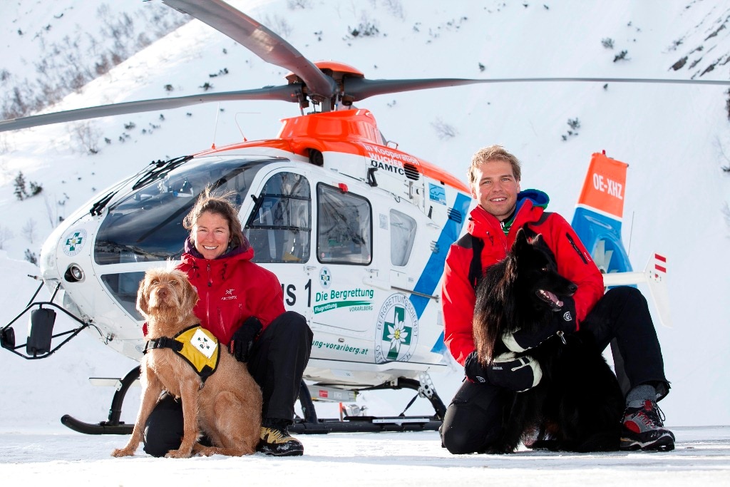 Auch ehrenamtlich dabei: Die Suchhunde der Bergrettung Vorarlberg