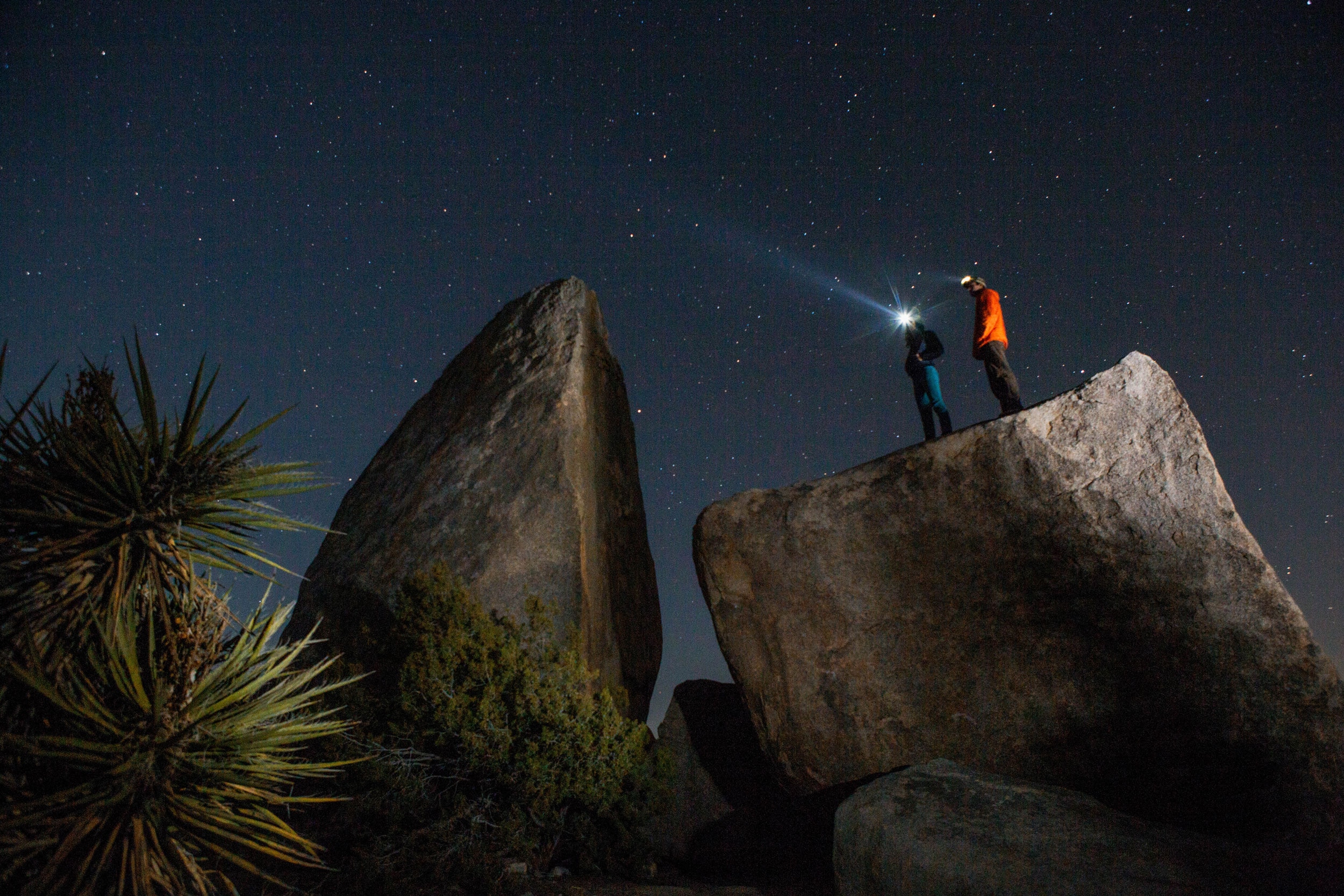 Der Sternenhimmel über der Wüste im Joshua Tree Nationalpark                    