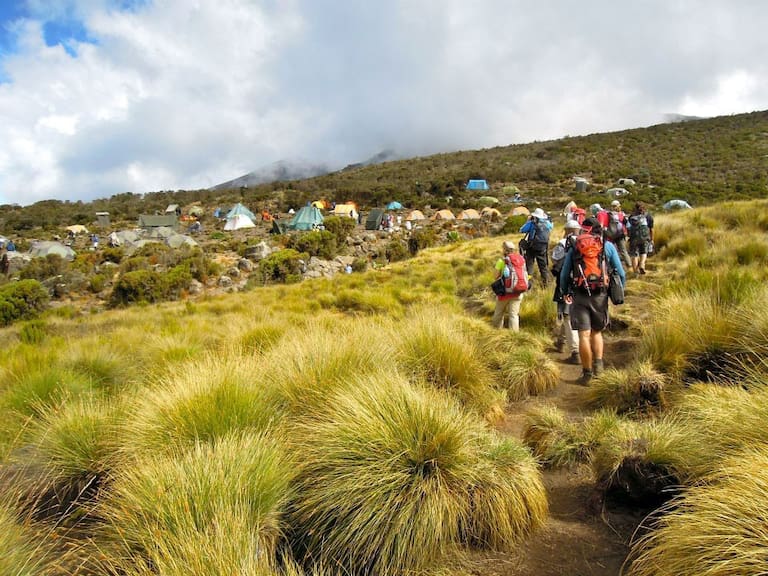 KIlimanjaro Expedition
