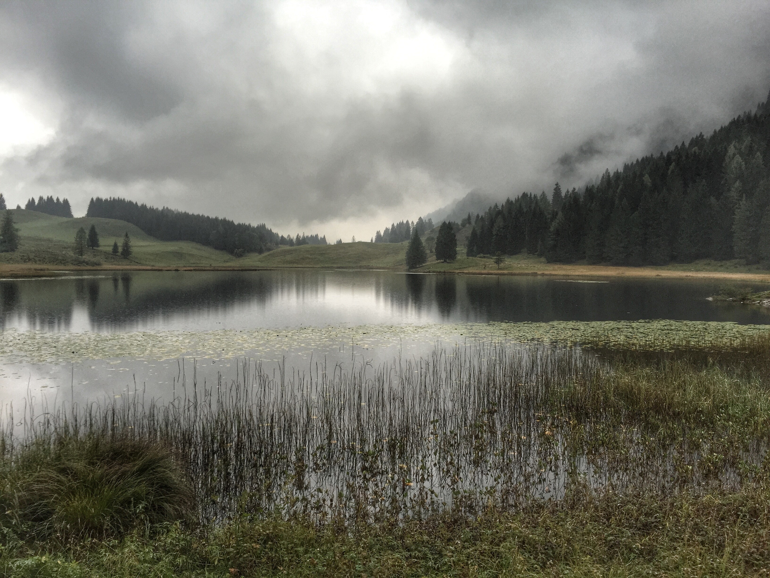 Ein Hauch von Magie am Salzburger Seewaldsee