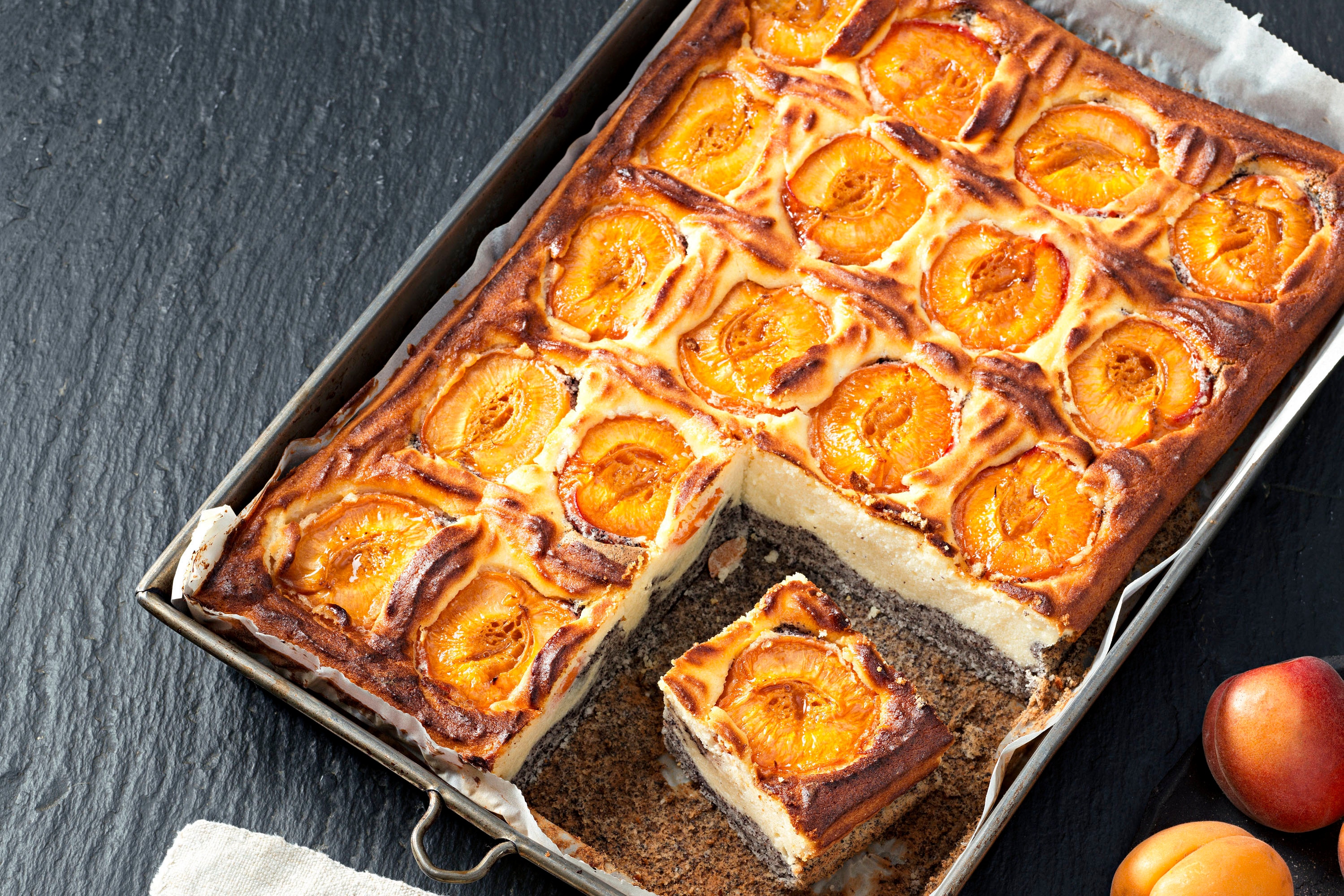 Rezept: Topfen-Mohn-Marillen-Kuchen - Bergwelten