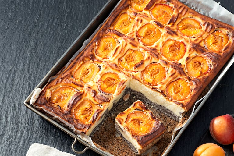Rezept: Topfen-Mohn-Marillen-Kuchen - Bergwelten