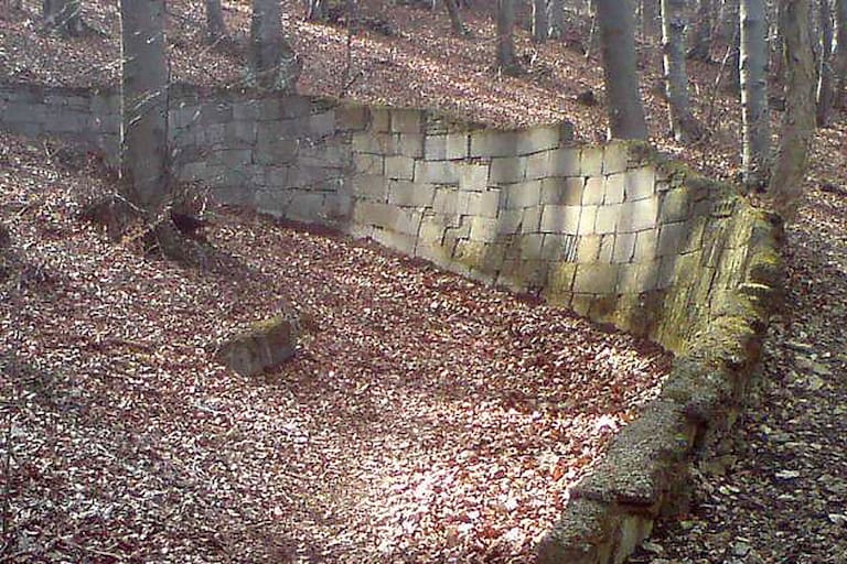 Mauerreste der historischen Anninger-Rodelbahn
