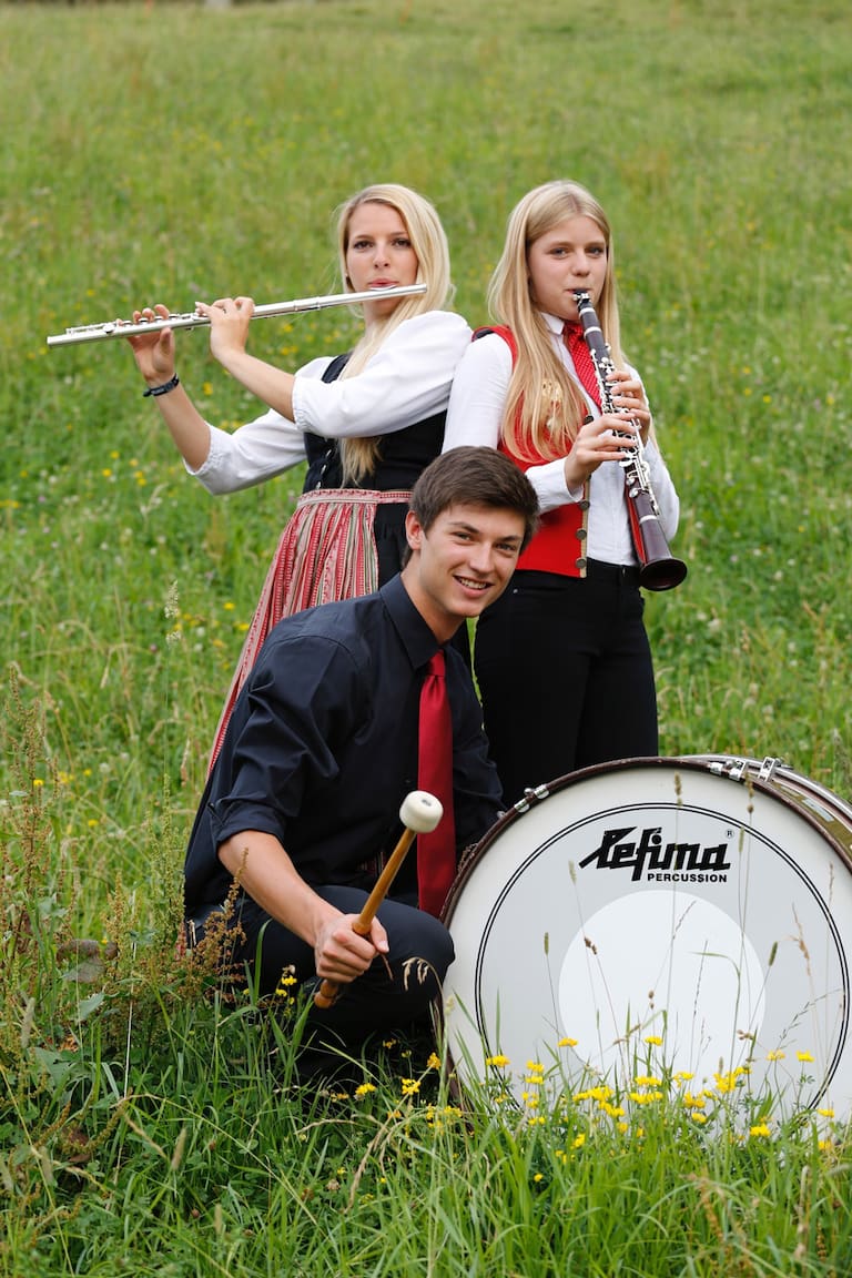 Drei Musiker im Gras