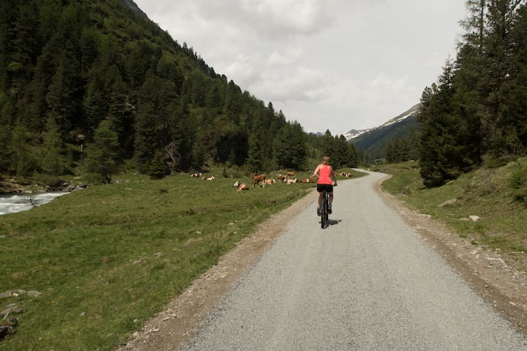 Mit dem E-Mountainbike unterwegs zu den Jagdhausalmhütten       