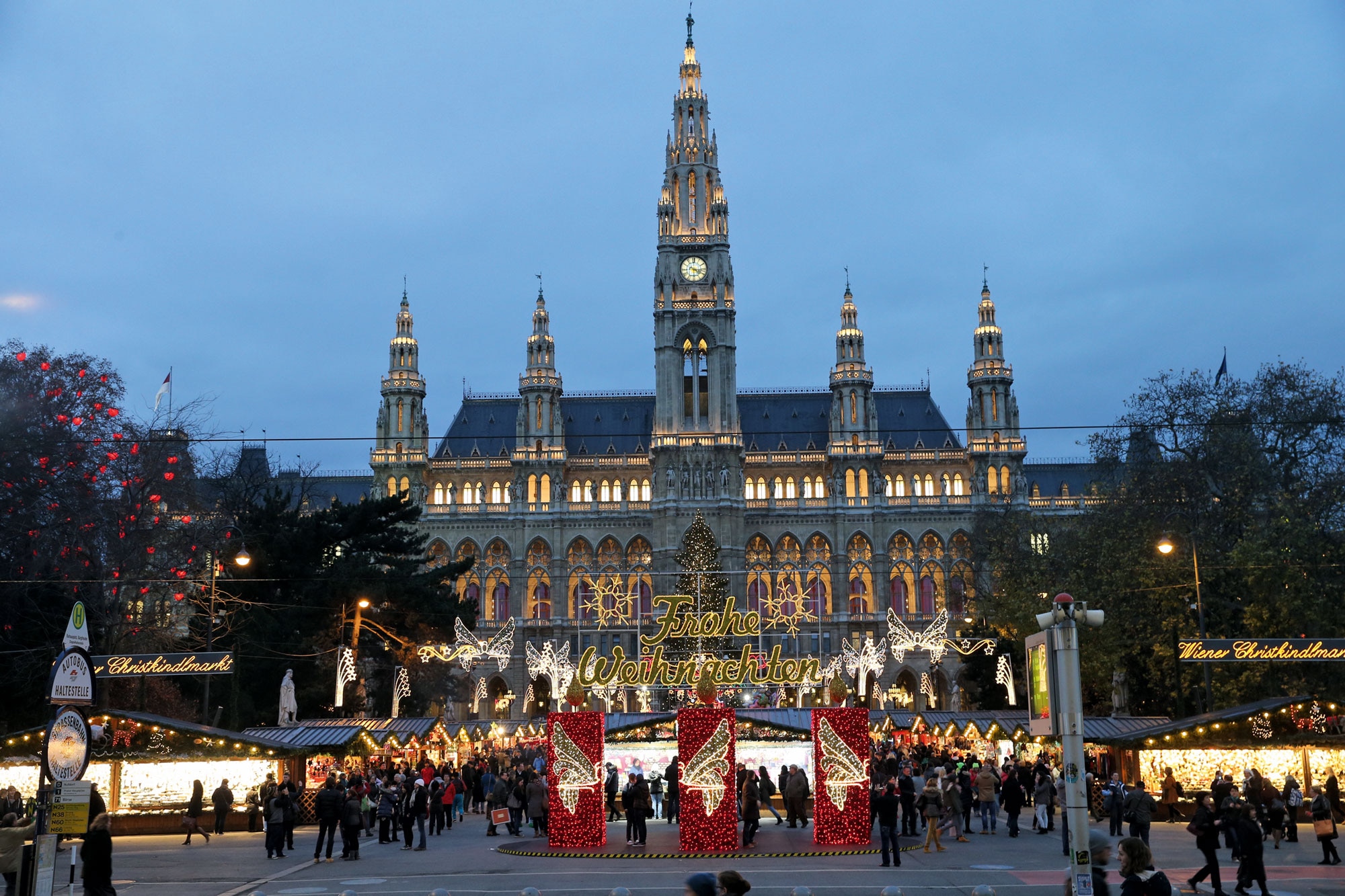 Ein Tiroler in Wien: Der Christbaum vom Wiener Rathausplatz - Bergwelten