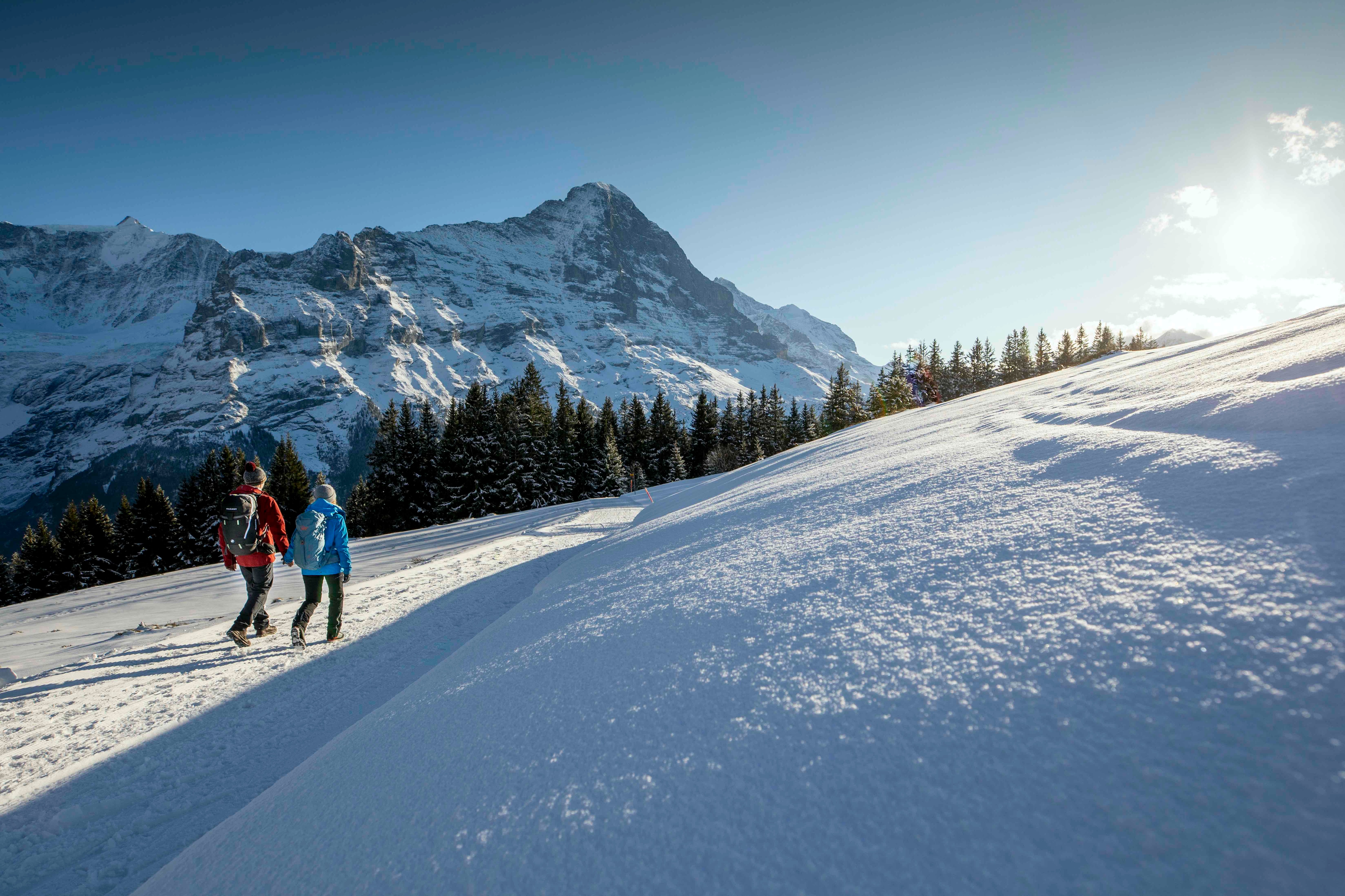 In Grindelwald der Sonnen entgegenwandern - im Winter ein besonderer Genuss.
