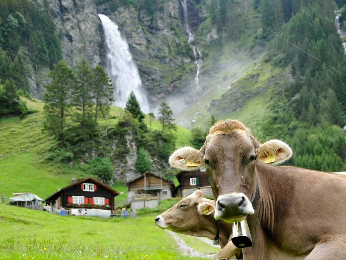 Wanderung durch das Schächental zum Stäubifall