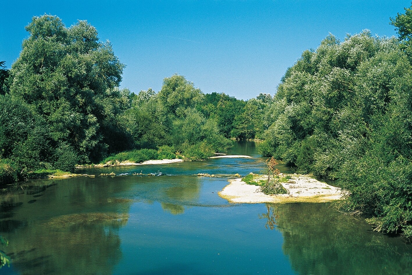 Der natürliche Flusslauf der Saulx