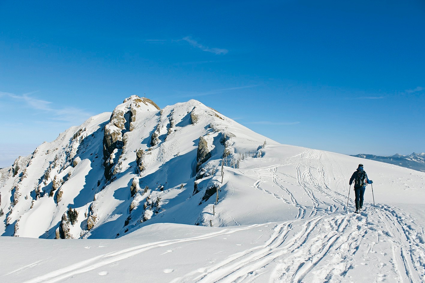 Leki Tourenteller Wintertouren Winterwandern Schneeschuhlaufen Touren Teller Big 