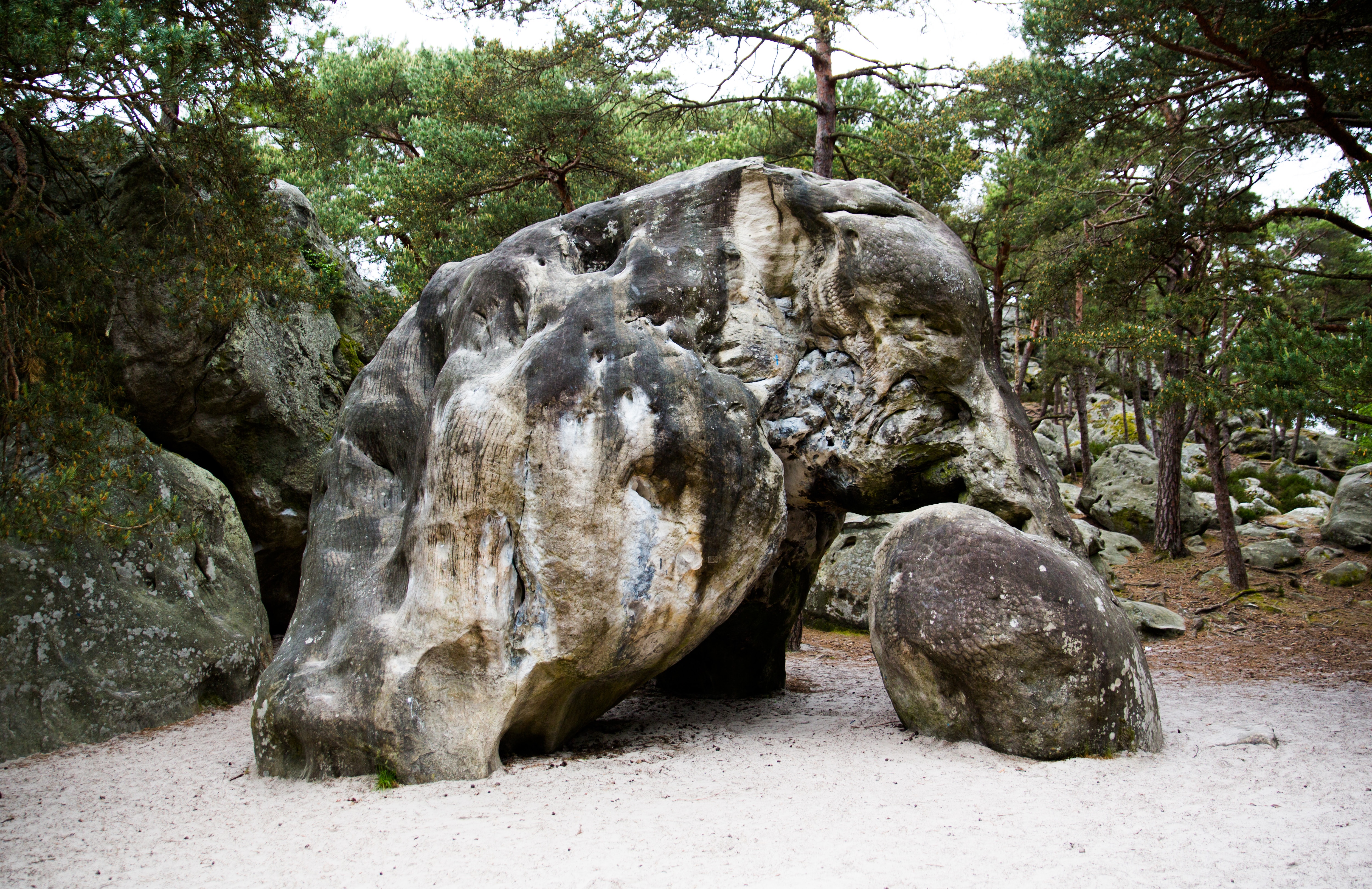 Der Boulder L´éléphant in Fontainebleau
