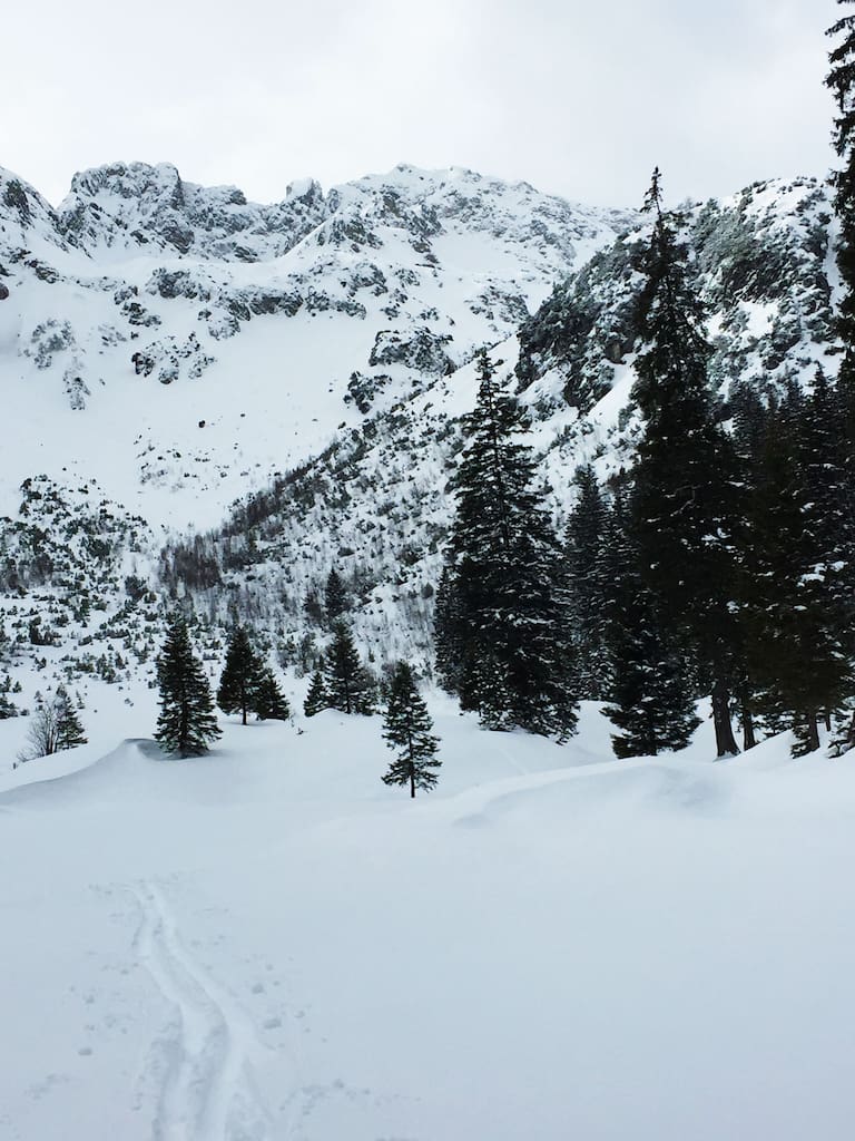 Skitour in den Allgäuer Alpen: Zur Kanzelwand in Bayern