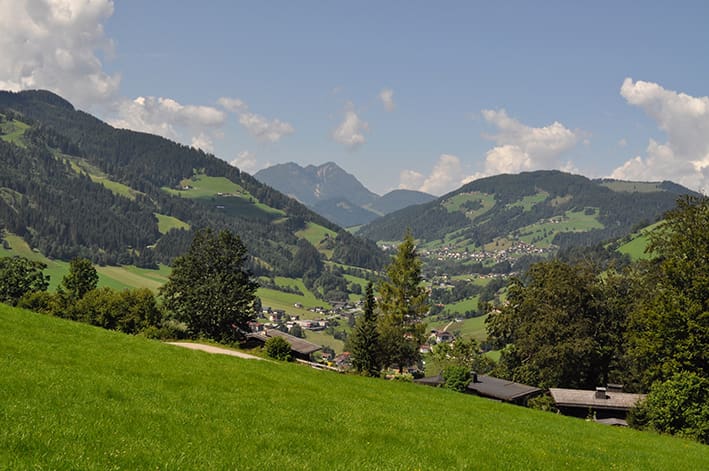 Wildschönau: Moorwanderung in Tirol