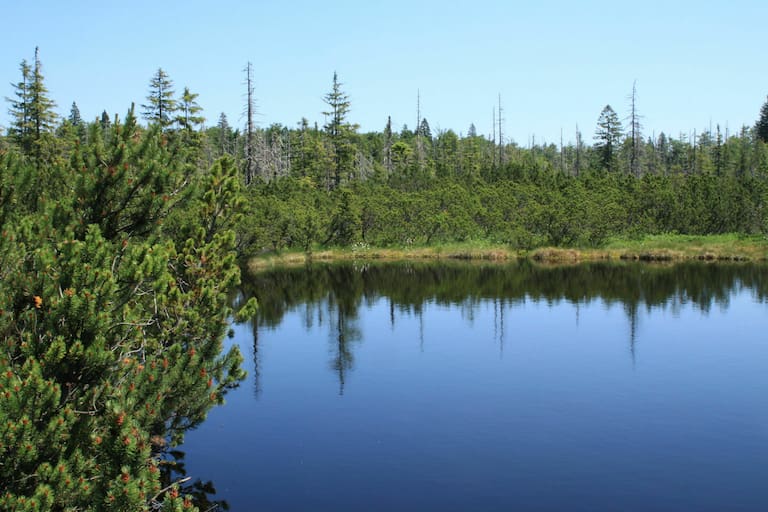 Nationalpark Bayerischer Wald