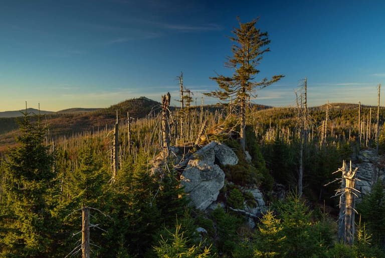 Nationalpark Bayerischer Wald