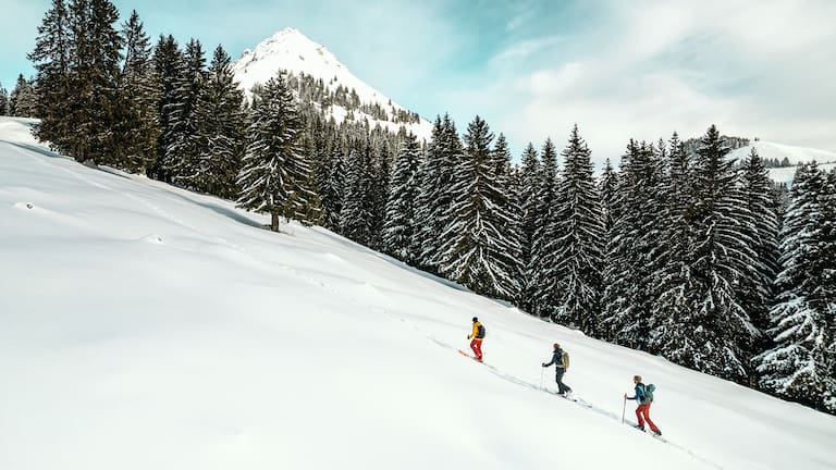Skitourengeher wandern über die Schweizer Alpen