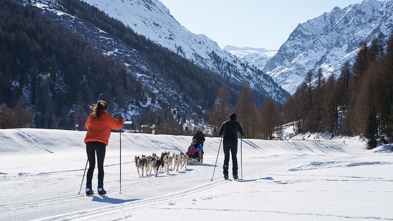 Husky-Schlittenfahrt und Langläufer in den Schweizer Alpen