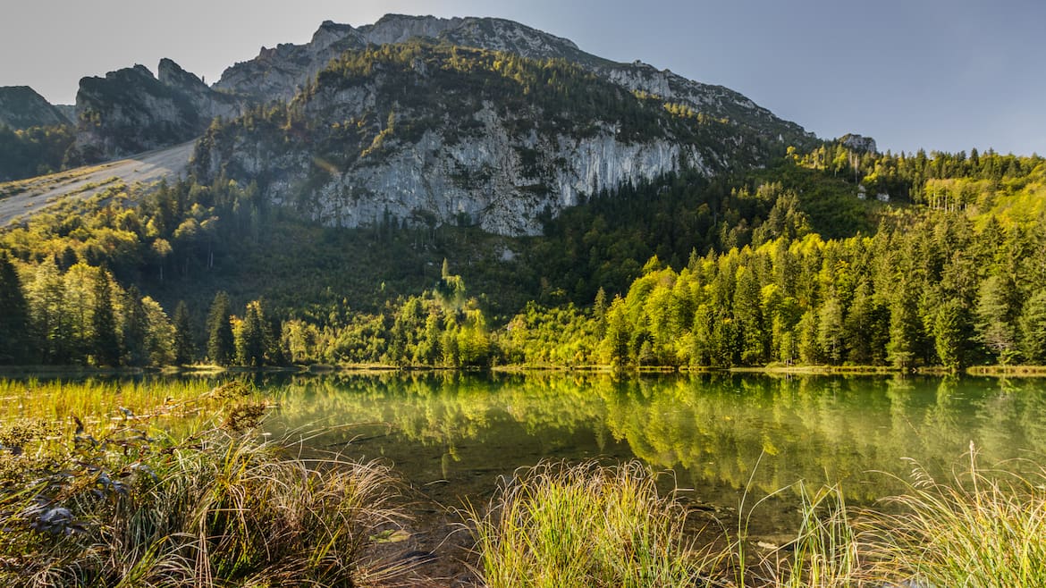 Der Frillensee gilt als einer der kältesten Seen Deutschlands. Auch wenn Baden hier nicht erlaubt ist, bietet der See eine Vielzahl von Möglichkeiten die Natur zu genießen.