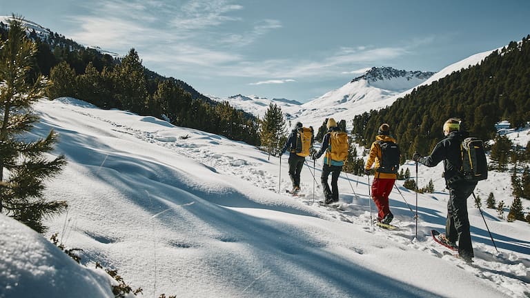 Schneeschuhwanderung durch die Schweizer Alpen