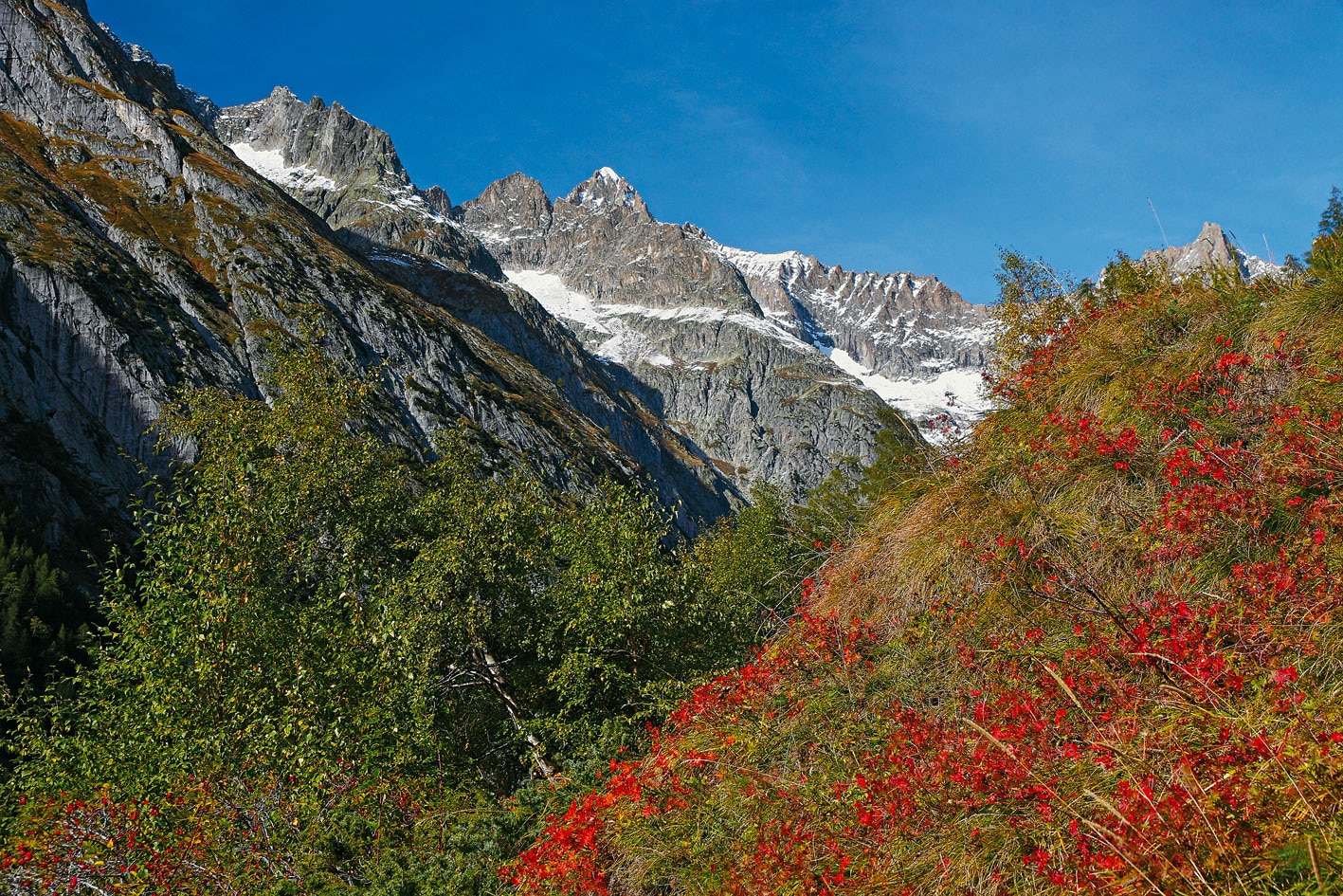 Höhenwege im Wallis: Wandern in der Bietschhorngruppe