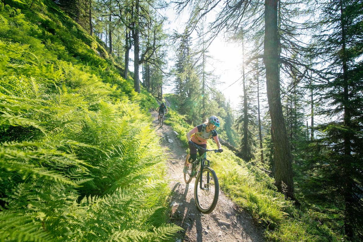 Die Region Schladming-Dachstein bietet Mountainbiketouren in allen Schwierigkeitsstufen.