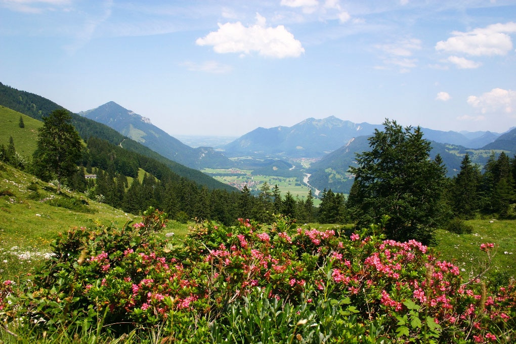 Wandern in den Chiemgauer Alpen: Auf den Breitenstein in Bayern