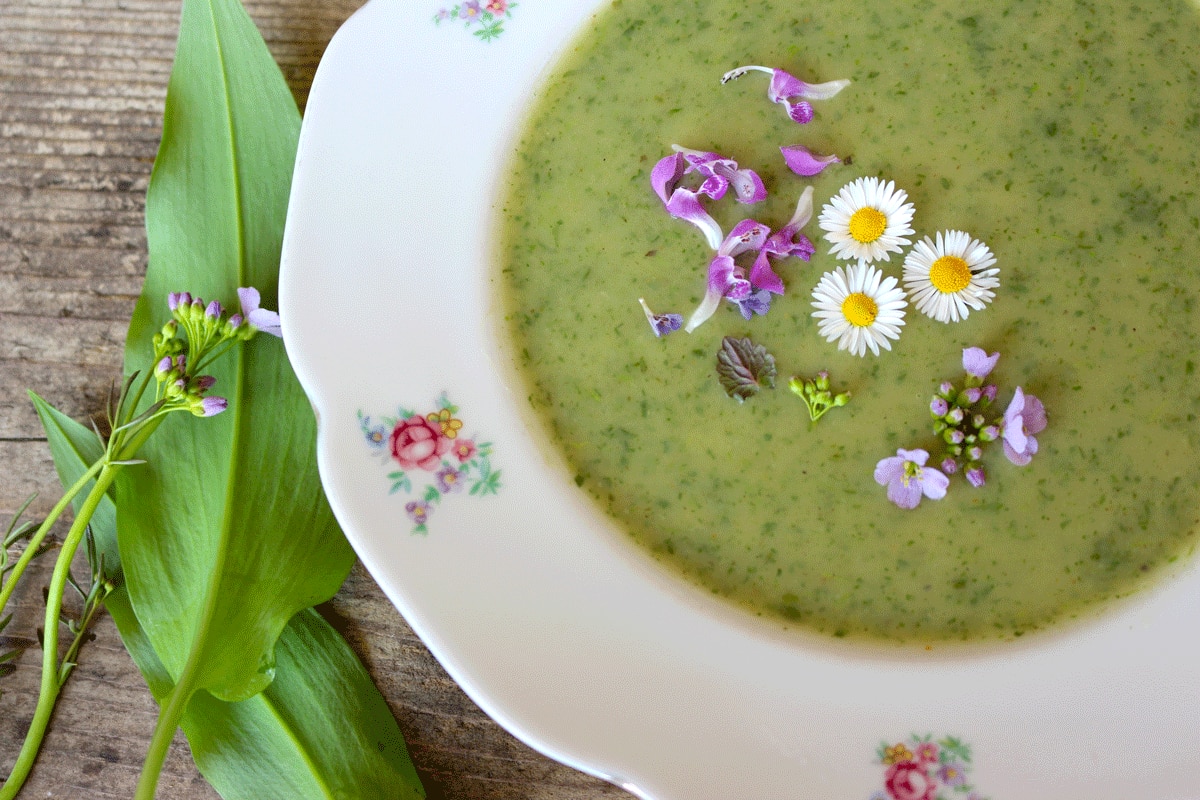 Brennnessel Suppe mit essbaren Blüten