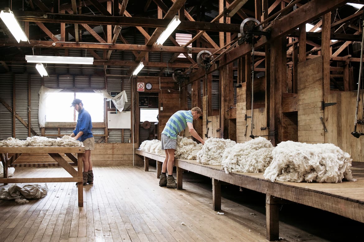 Beim Kauf von Bekleidung aus Wolle sollte man auf Herkunft und Herstellung achten