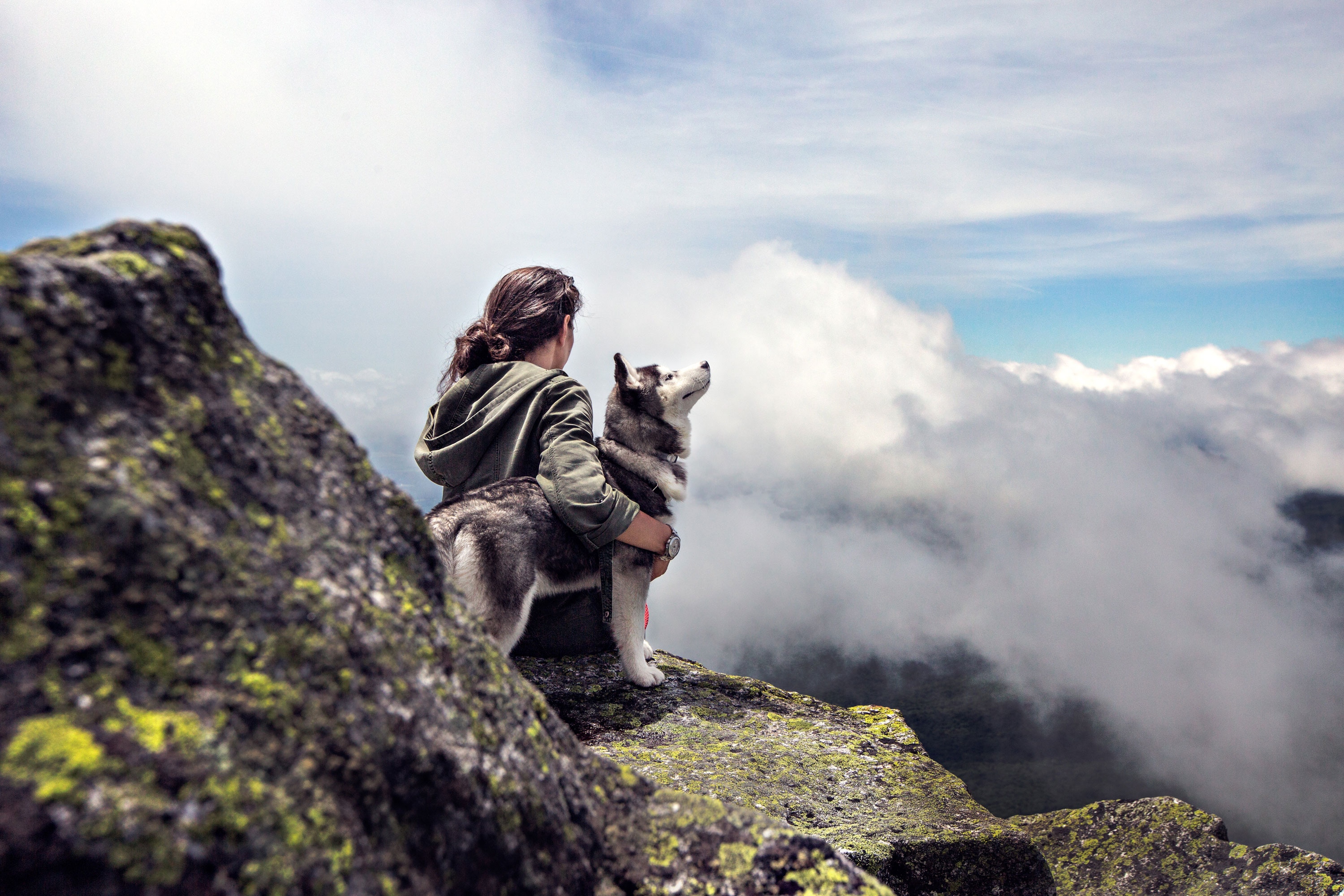 Vierbeiner am Berg: Mit Hund auf der Hütte