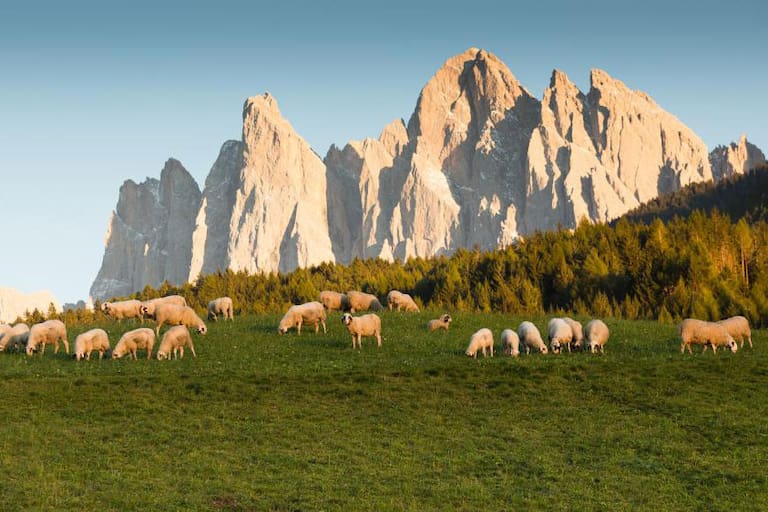 Südtirol ohne Auto: 8 Tourentipps