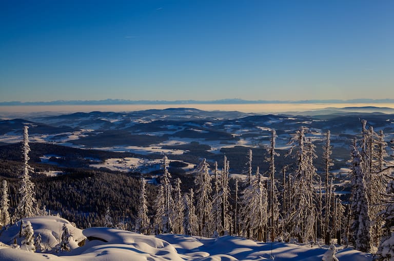 Winterwanderung Dreisessel - Hochkamm, Bayerischer Wald